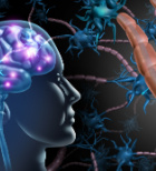 טרשת נפוצה: מהי המחלה, איך מגלים וכיצד מטפלים-תמונה